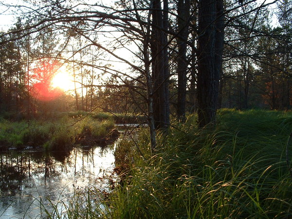 And yet another photograph of a sunset over a body of water